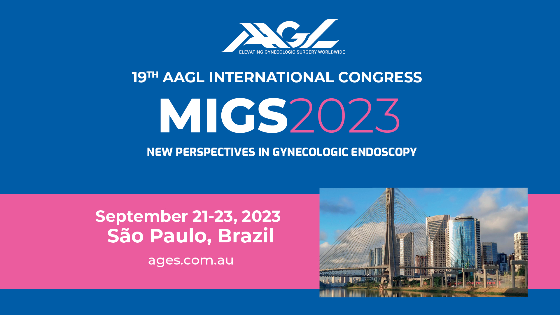 19th Annual AAGL International Congress on MIGS AAGL